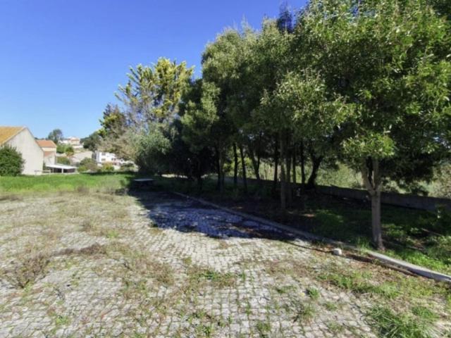 Loja venda em Azambuja