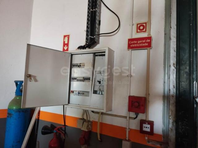 Loja venda em São João de Negrilhos, Beja