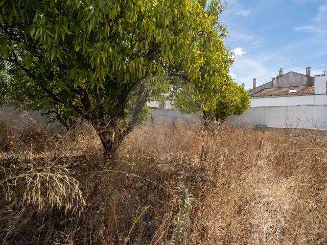 Loja venda em Cartaxo, Santarém