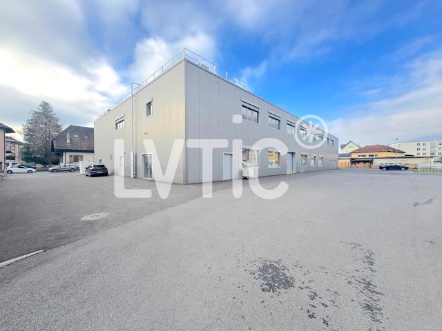 Industrie mieten in Villeneuve (VD), Waadt