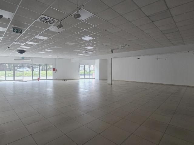 Mieszkanie do wynajęcia w Grodków, Opolskie