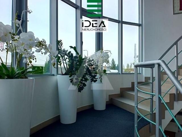 Mieszkanie do wynajęcia w Bydgoszcz, Kujawsko-pomorskie