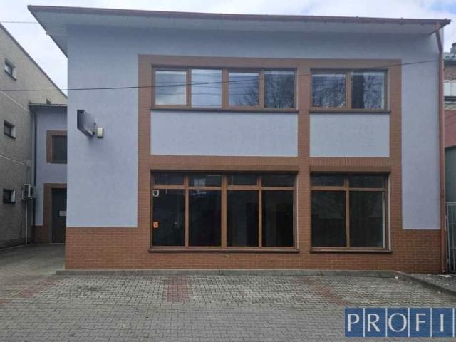 Mieszkanie do wynajęcia w Katowice, Śląskie