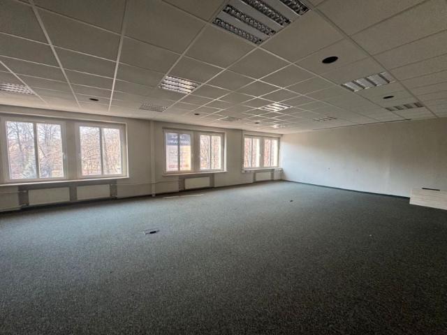 Mieszkanie do wynajęcia w Gliwice, Śląskie