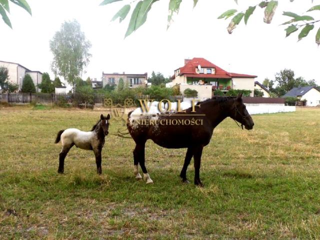Mieszkanie na sprzedaż w Kalety, Śląskie