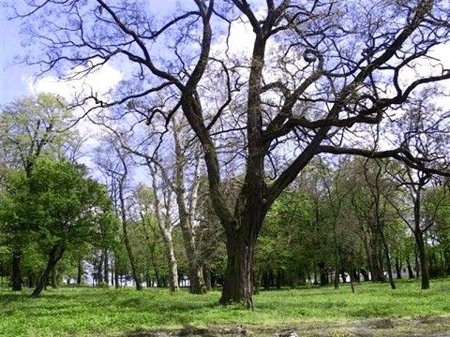 Mieszkanie na sprzedaż w Olszanka, Opolskie