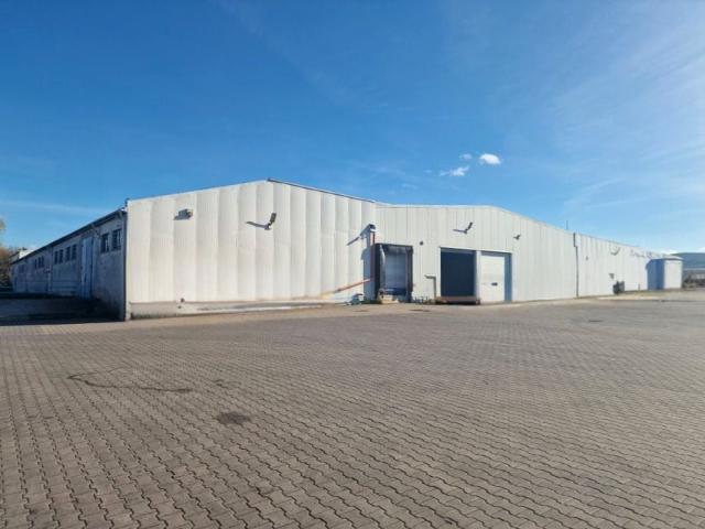 Mieszkanie do wynajęcia w Brzeziny, Łódzkie