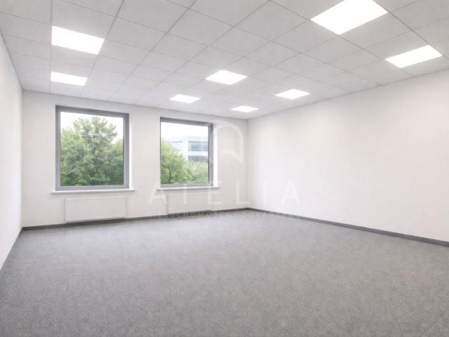 Mieszkanie do wynajęcia w Szczecin, Zachodniopomorskie