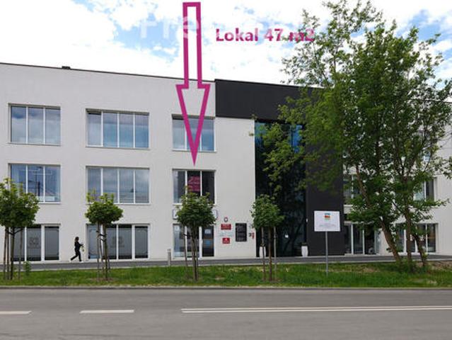 Biuro do wynajęcia w Bełchatów, Łódzkie