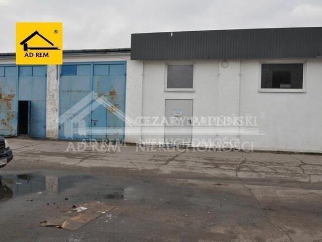 Biuro do wynajęcia w Biała Podlaska, Lubelskie