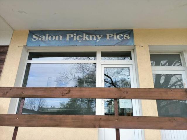 Biuro do wynajęcia w Braniewo, Warmińsko-mazurskie