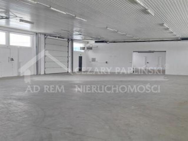 Biuro do wynajęcia w Kurów, Lubelskie