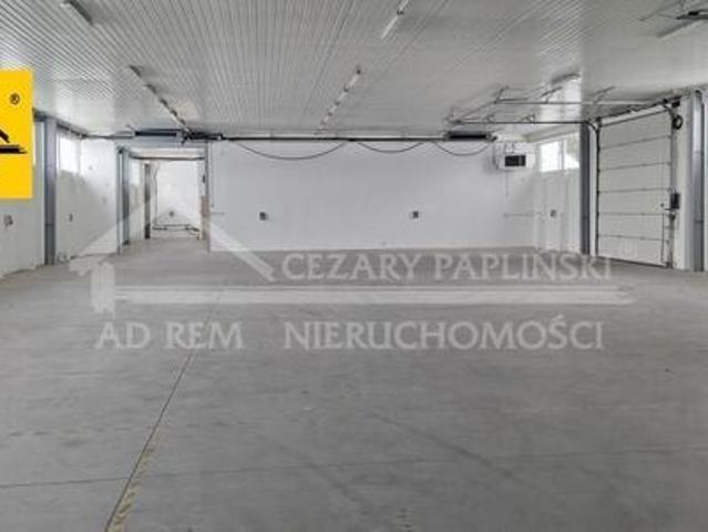 Biuro do wynajęcia w Kurów, Lubelskie