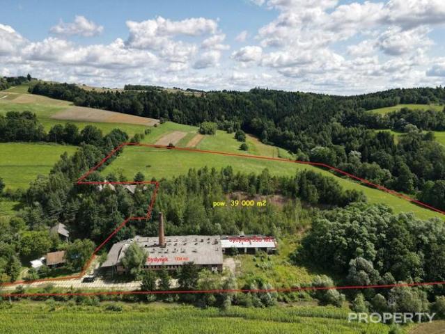 Biuro na sprzedaż w Korzenna, Małopolskie