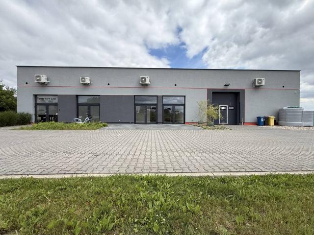 Mieszkanie do wynajęcia w Wielka Wieś, Wielkopolskie