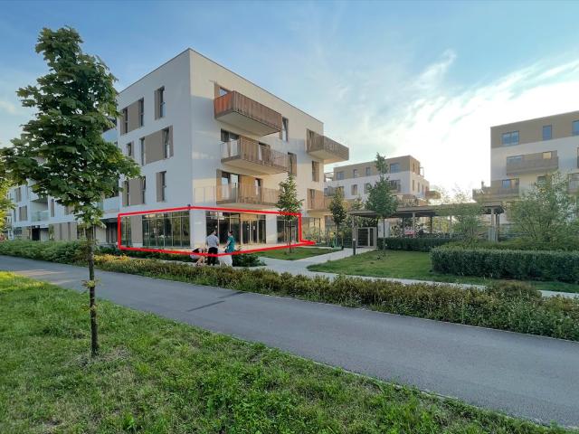 Mieszkanie do wynajęcia w Warszawa, Mazowieckie