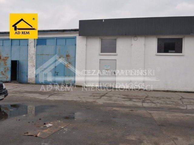 Mieszkanie do wynajęcia w Biała Podlaska, Lubelskie
