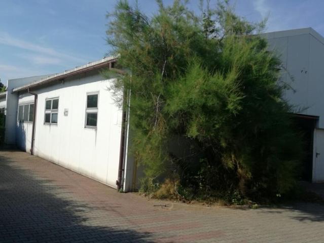 Mieszkanie do wynajęcia w Grodzisk Mazowiecki, Mazowieckie