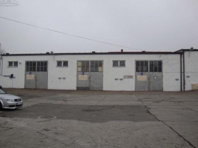 Mieszkanie do wynajęcia w Kalisz, Wielkopolskie