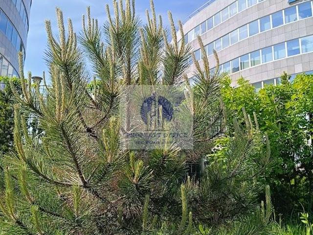 Mieszkanie do wynajęcia w Warszawa, Mazowieckie