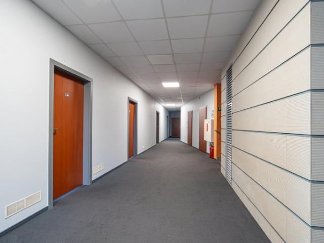 Mieszkanie do wynajęcia w Piaseczno, Mazowieckie