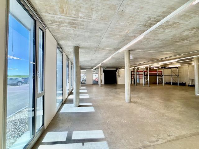 Industrie mieten in Mont-sur-Lausanne, Waadt
