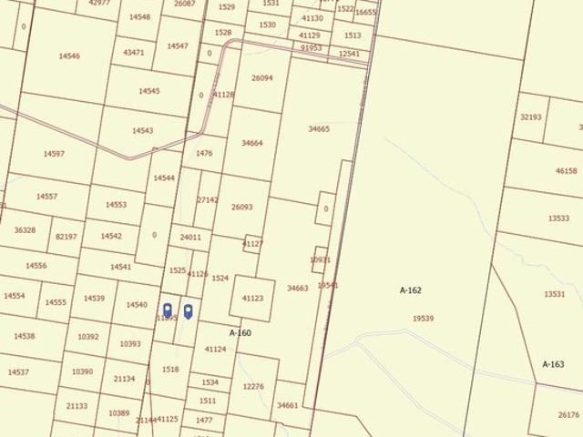 Land for sale in Roma, Texas