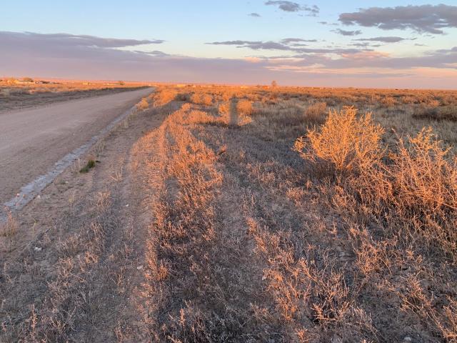 Land for sale in Moriarty, New Mexico