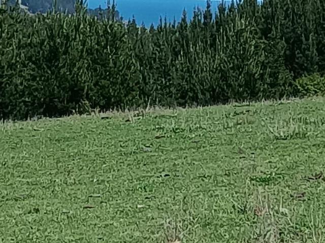 Terreno en venta en Ñuble