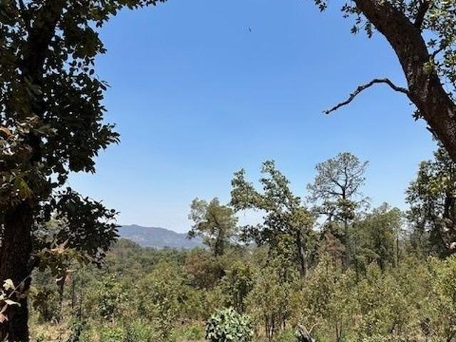 Terreno en renta en Tapalpa, Jalisco