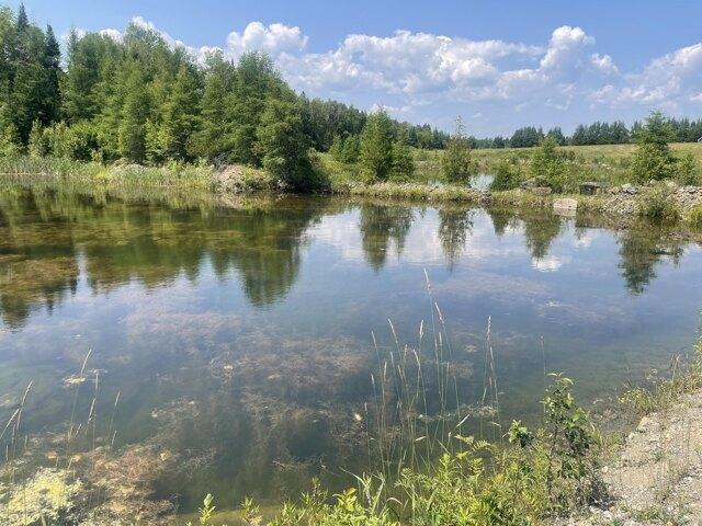 Land for sale in Caribou, Maine