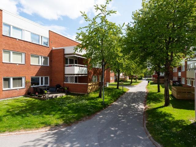 Lägenhet hyra i Väster Knutby, Vigelsjö