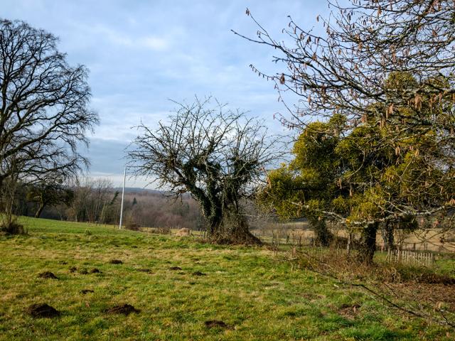 Terrain vente à Lure, Lomont
