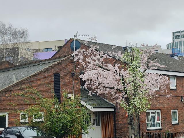 House for rent in London Borough of Newham, Greater London