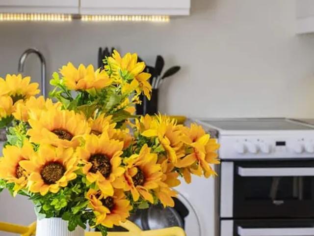 Apartment for rent in Kensal Town, Bayswater
