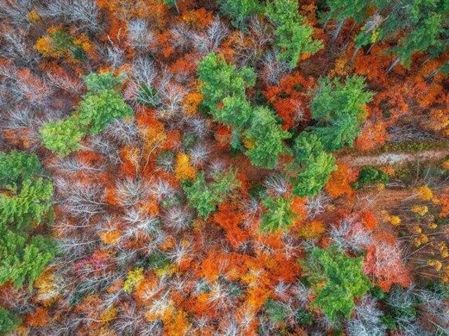 Land for sale in Londonderry, Vermont