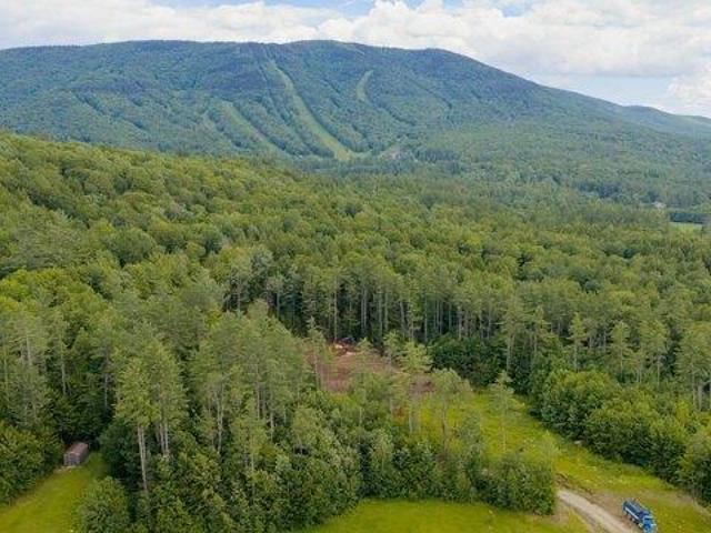 Land for sale in Londonderry, Vermont