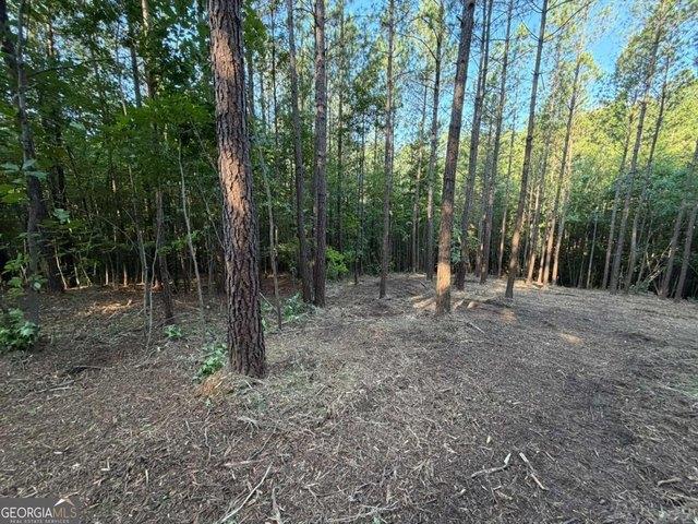 Land for sale in Paulding, Georgia