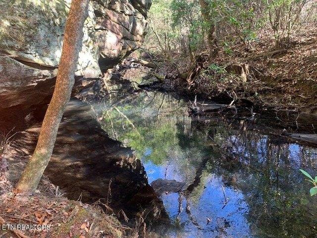 Land for sale in Spencer, Middle Tennessee