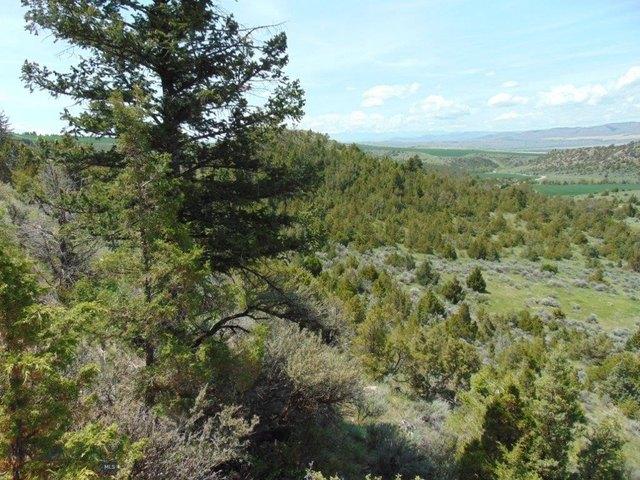 Land for sale in Three Forks, Montana