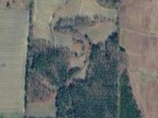 Land for sale in Whitakers, North Carolina