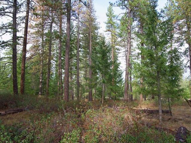 Land for sale in Trout Lake, Washington