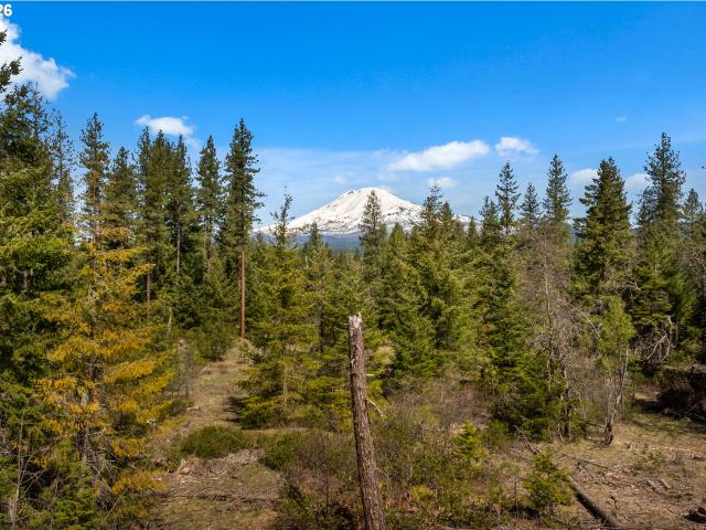 Land for sale in Trout Lake, Washington