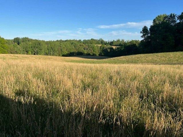 Land for sale in Burkesville, Cumberland County