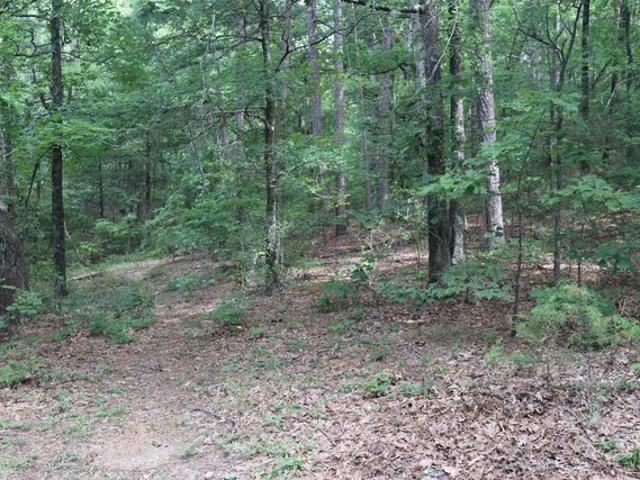 Land for sale in Ark