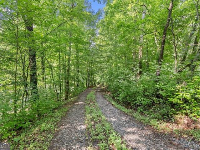 Land for sale in Dahlonega, Georgia