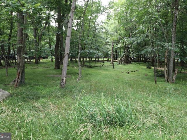 Land for sale in Carbon, Pennsylvania