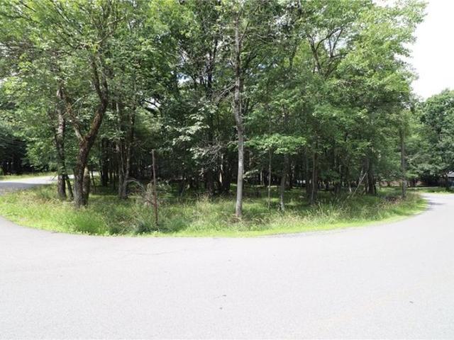 Land for sale in Albrightsville, Kidder Township