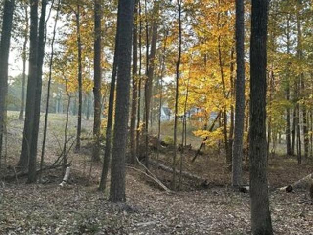 Land for sale in Lincolnton, Georgia