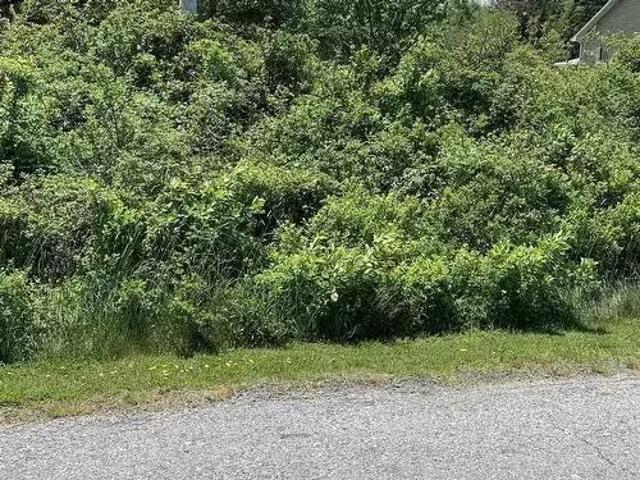 House for sale in Port Medway, Nova Scotia